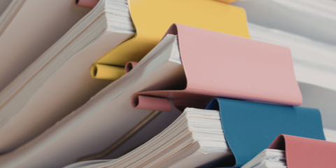 Imigrantes organizados constroem riqueza Photo